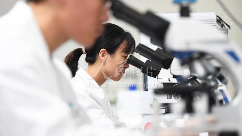 小分子CDMO服务流程：揭秘制药企业的“幕后英雄