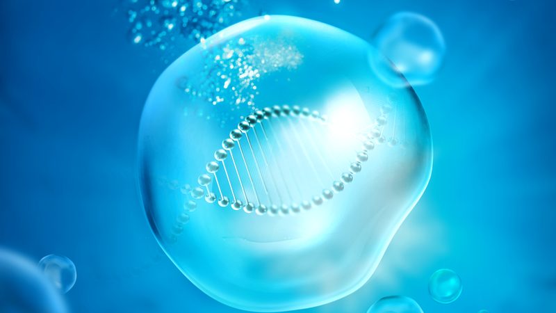 CDMO服务流程风险评估：揭秘生物医药研发的关键环节