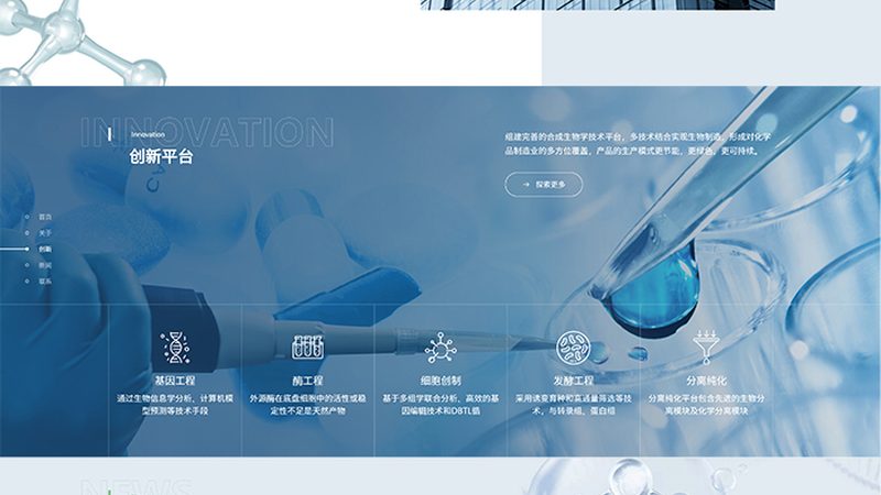 CDMO企业审计规范要求