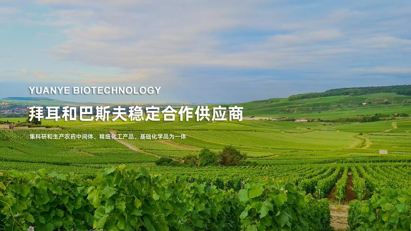 CDMO公司评估哪家好