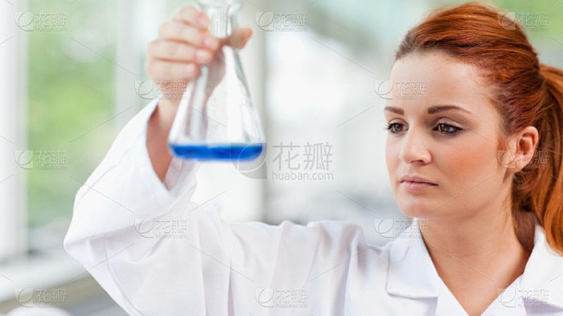抗体人源化改造：揭秘生物药研发的关键一步**