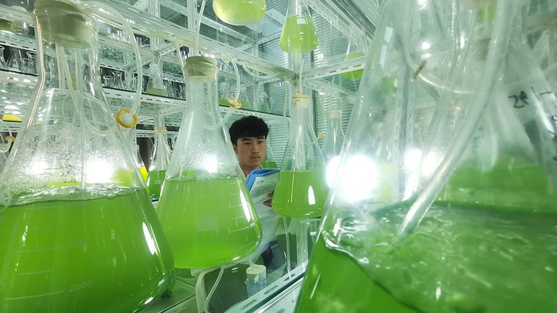 CDMO厂家资质哪家好