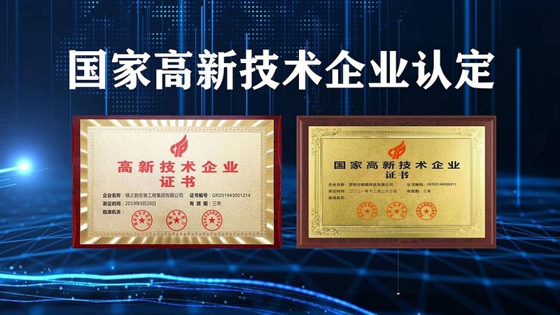 CDMO资质审批时间：揭秘审批流程与关键节点